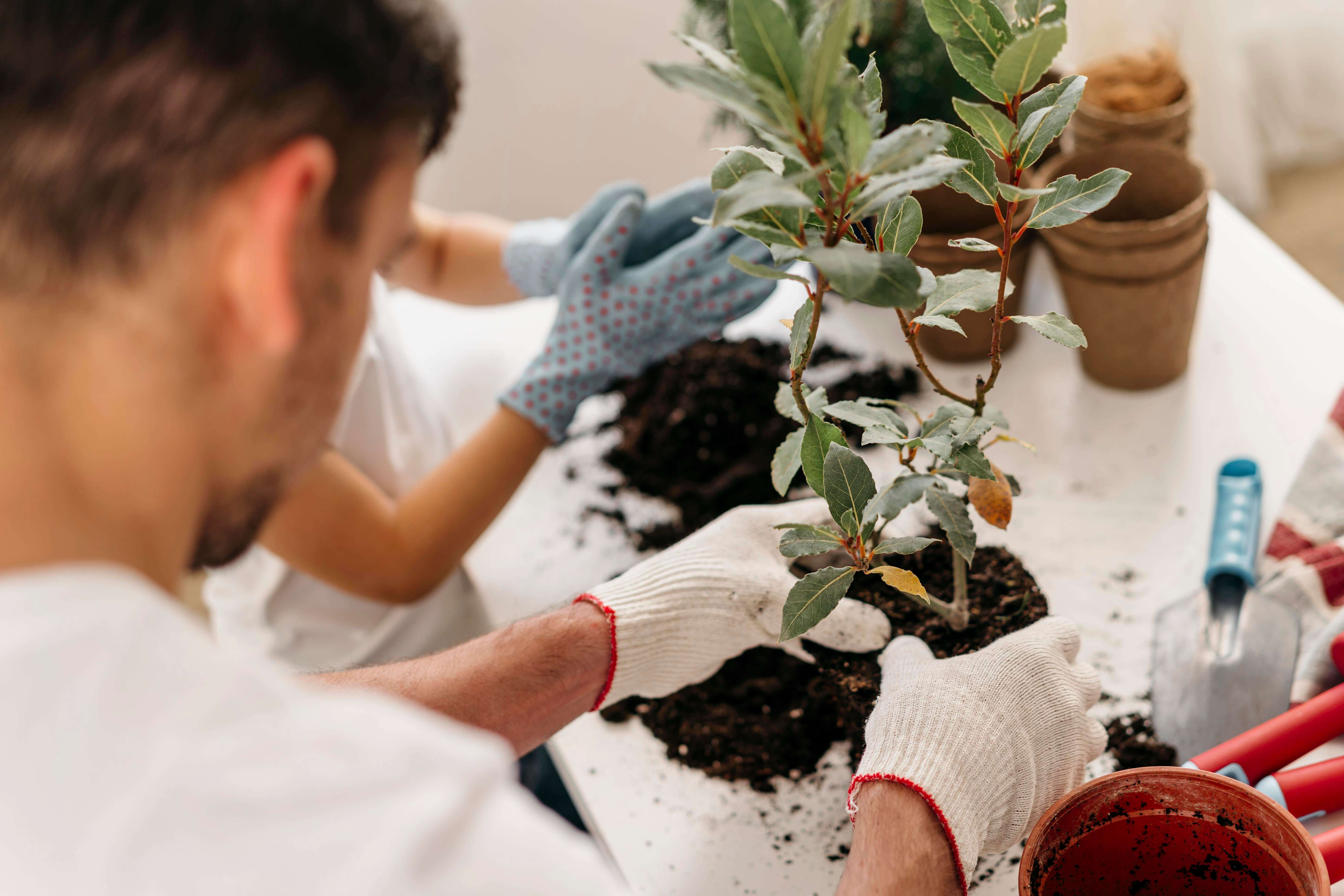 Treetology - Your Tree, Your Impact, A Better Planet